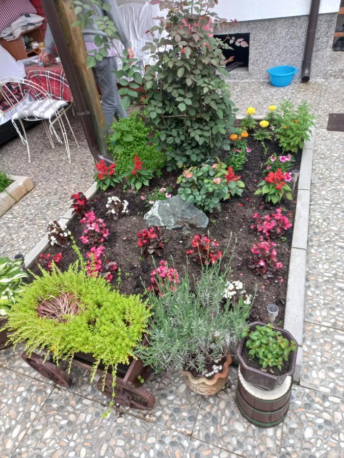 Accordeon Apartment Visoko Bagian luar foto